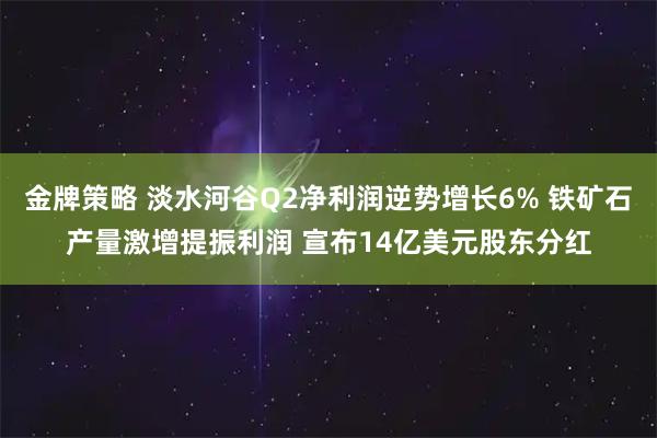 金牌策略 淡水河谷Q2净利润逆势增长6% 铁矿石产量激增提振利润 宣布14亿美元股东分红