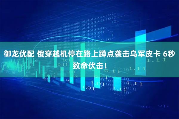御龙优配 俄穿越机停在路上蹲点袭击乌军皮卡 6秒致命伏击！