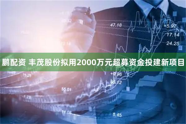 鹏配资 丰茂股份拟用2000万元超募资金投建新项目