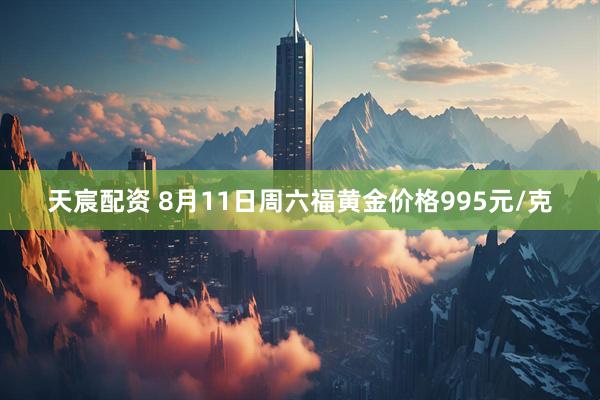 天宸配资 8月11日周六福黄金价格995元/克