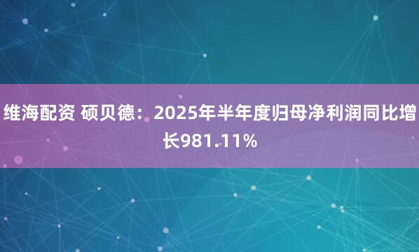 维海配资 硕贝德:2025年半年度归母净利润同比增长981.11%